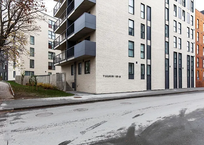 Center Parking Space * 塔林