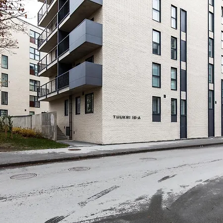 Center Parking Space * 塔林